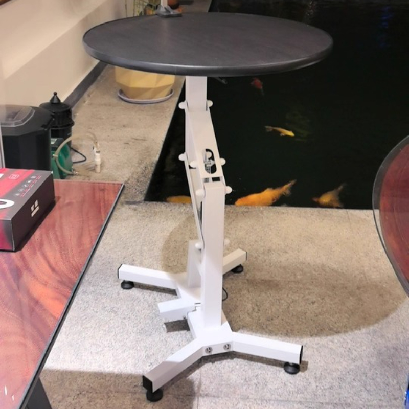 Pet Grooming Table for Small D - Heavy Equipment Cat avis et prix