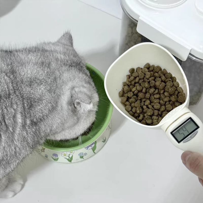 High Precision Pet Feeding Spo - Heavy Equipment Cat avis et prix